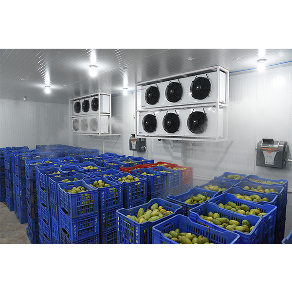 Transform Your Fruit Business: How Ripening Chambers Are Changing Nepal's Agricultural Landscape