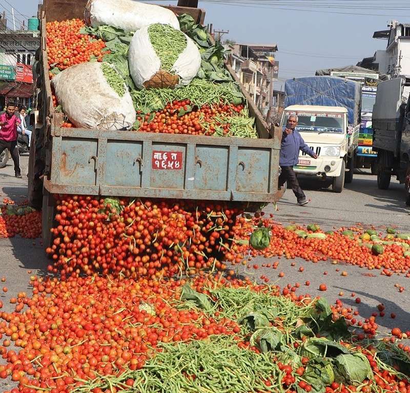 Fighting Post-Harvest Losses in Nepal: How Modern Refrigeration Solutions Are Transforming Agriculture