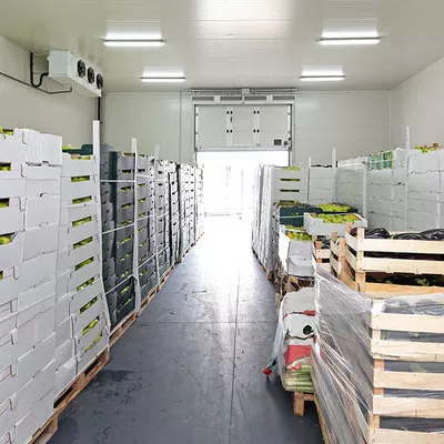 What Types of Food Items Can Be Stored in Cold Storage: A Complete Guide