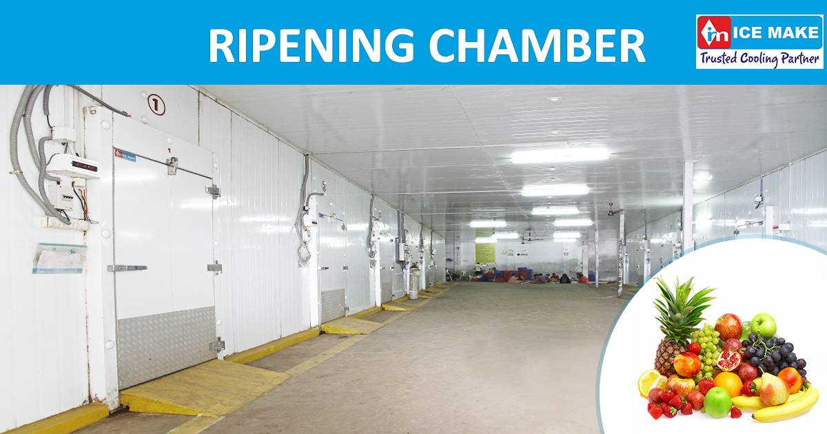 Ripening Chambers – Perfect Fruits, Every Time