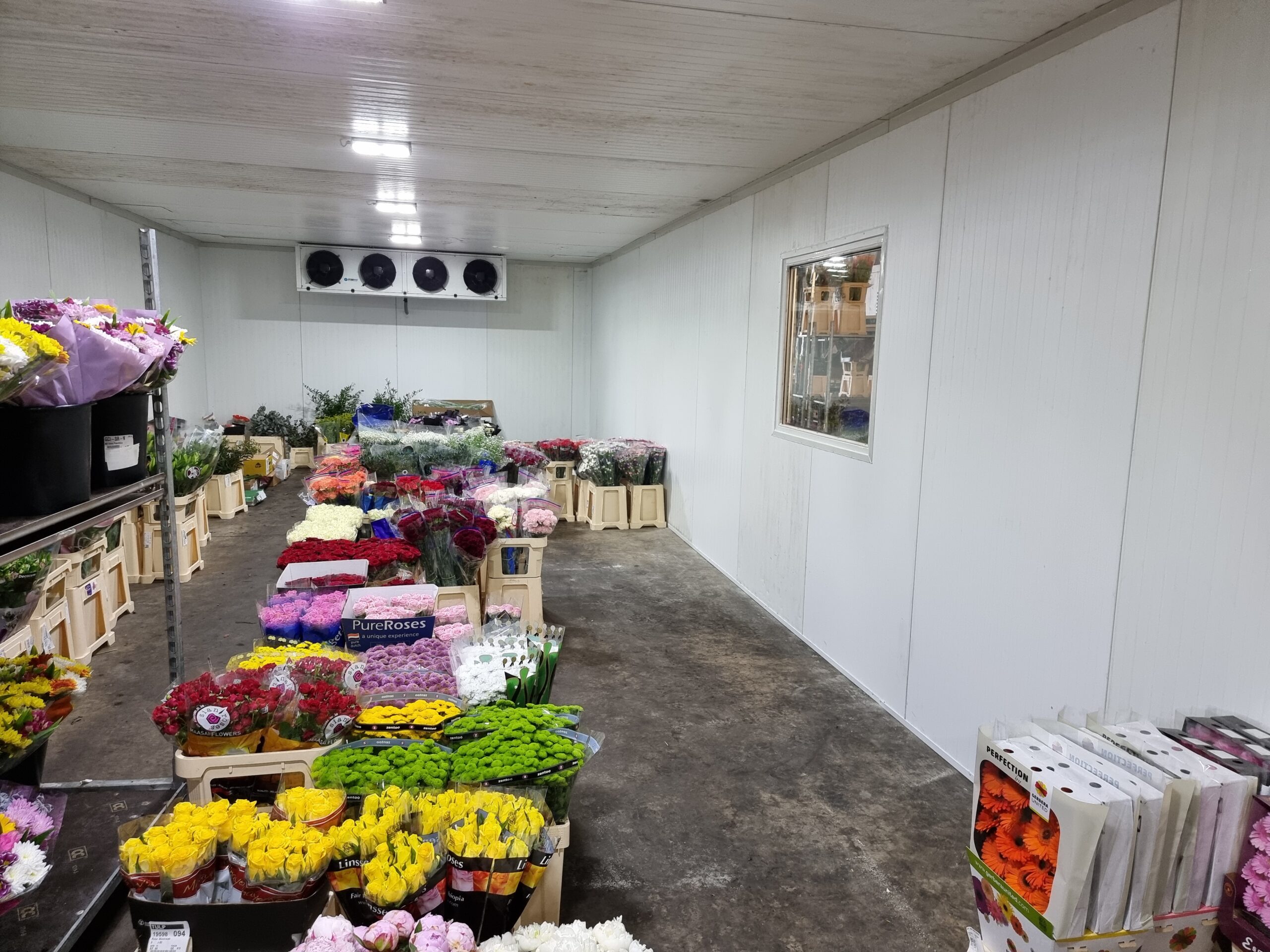 Keeping Cut Flowers Fresh: Refrigeration Practices for Floriculture