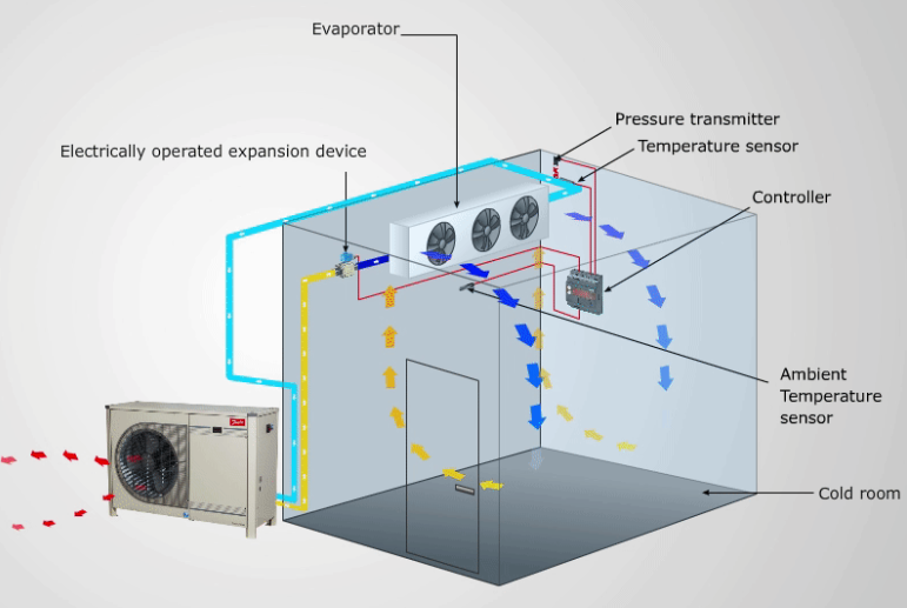 Why Temperature Zoning in Cold Rooms Is Crucial for Different Crops