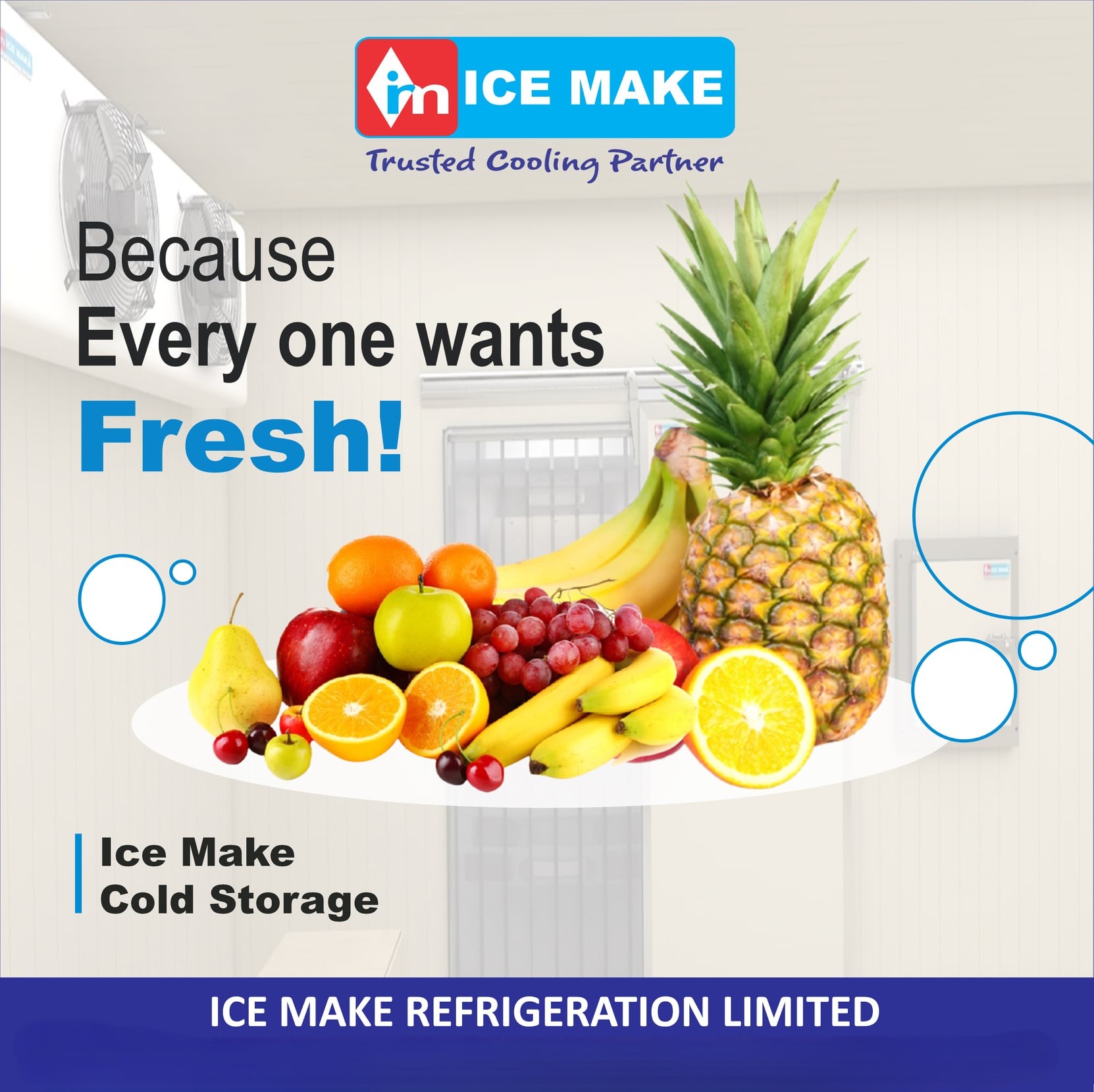 Seasonal Fruit Storage: Technologies for Year‑Round Availability