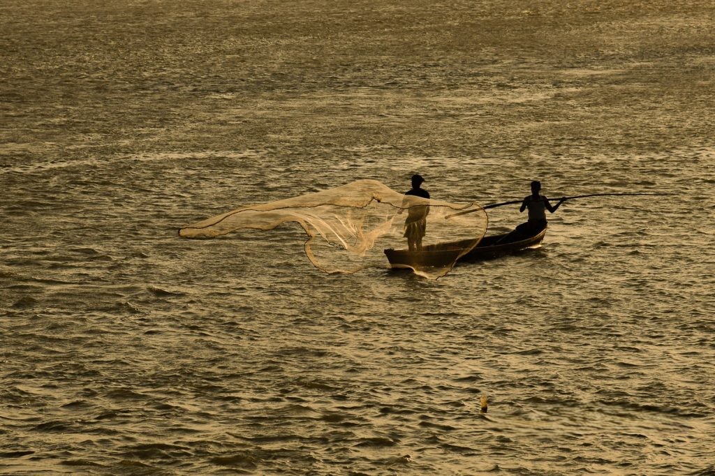 From Catch to Chiller: A Practical Fisheries Cold Chain for Nepal’s Lakes, Rivers, and City Markets