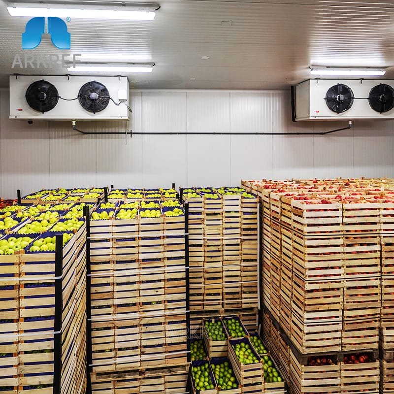 Cold Room Storage for Fruits and Vegetables