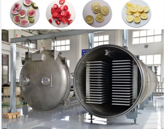 What Is the Difference Between Vacuum Freeze Dryer and Heat Pump Food Dehydration?