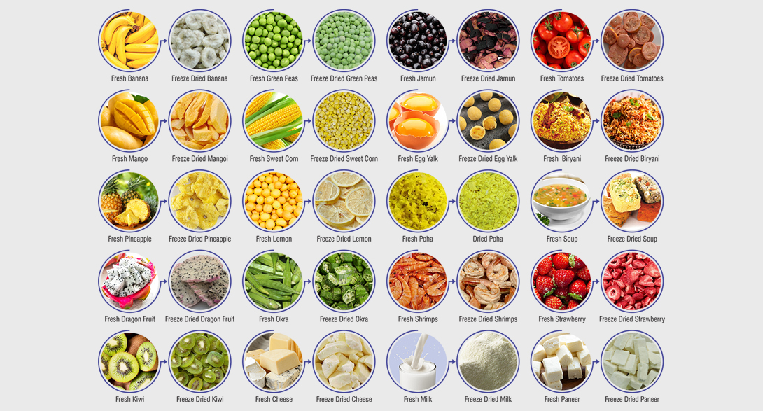 Freeze Dryer (IFD-2000)