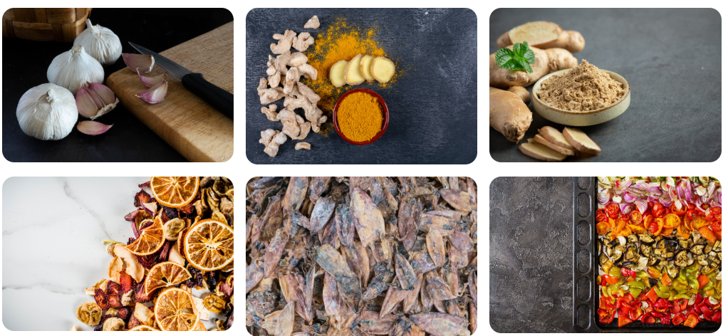 Heat Pump Food Dryer (HPD0100)